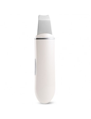 Ultrasonic Ion Facial Cleansing Instrument